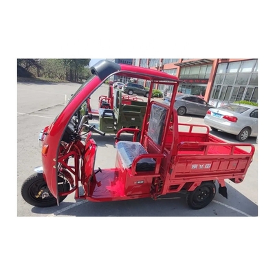 Το Open Body Fashion Scooter E Bike Μοτοσυκλέτα Τρίκυκλο για λαχανικά και φρούτα