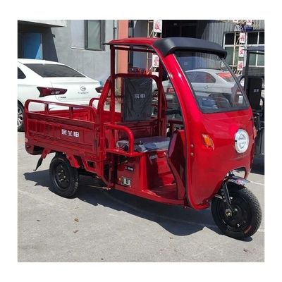 Το Open Body Fashion Scooter E Bike Μοτοσυκλέτα Τρίκυκλο για λαχανικά και φρούτα