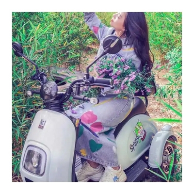 Προσαρμόστε το E Trike 3 τροχών Scooter για ενήλικες Μηχανοκίνητο ηλεκτρικό τρίκυκλο στις Φιλιππίνες