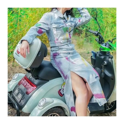 Προσαρμόστε το E Trike 3 τροχών Scooter για ενήλικες Μηχανοκίνητο ηλεκτρικό τρίκυκλο στις Φιλιππίνες