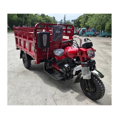 250cc Ανοιχτός κινητήρας βενζίνης Μηχανοκίνητα τρίκυκλοι με μπροστινό σύστημα πέδησης πίσω