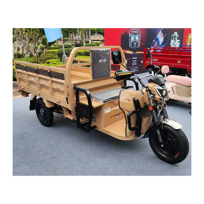 Ηλεκτρικό Etrike 3 τροχών με εμπρός τύμπανο πίσω τύμπανο φρένα και 70-90km οδήγηση μίλι