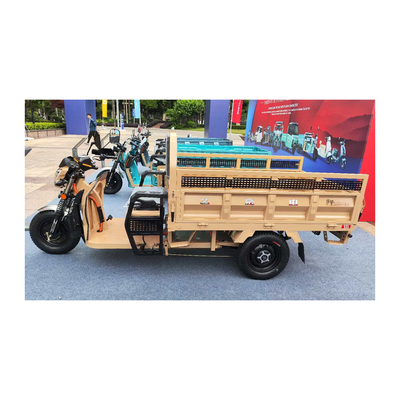 Ηλεκτρικό Etrike 3 τροχών με εμπρός τύμπανο πίσω τύμπανο φρένα και 70-90km οδήγηση μίλι
